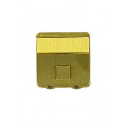 Brass Amiet Combi-Lock